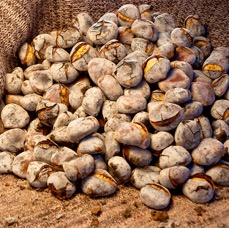 castanhassmartinho.jpg