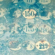 numbers.jpg