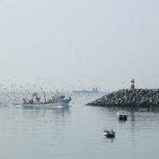 barcopescasines.jpg