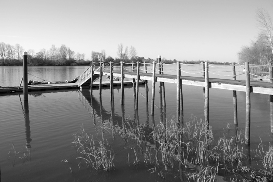 Rio Tejo - Escaroupim