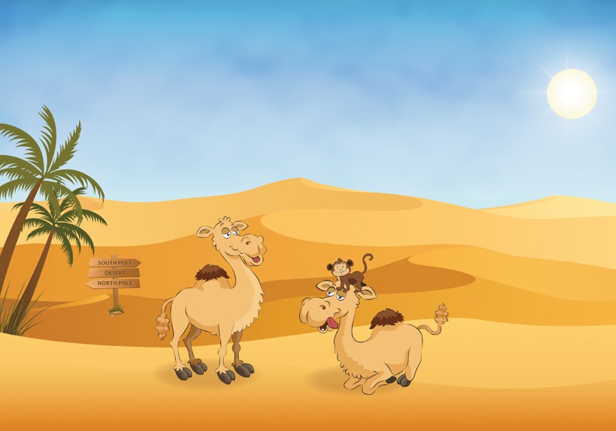 Ilustração Verão